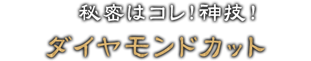 秘密はコレ！神技！ダイヤモンドカット